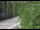 Webcam in Ironton, Colorado, 99 km