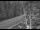 Webcam in Ironton, Colorado, 59 km entfernt