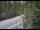 Webcam in Ironton, Colorado, 59 km