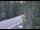 Webcam in Ironton, Colorado, 84.7 km entfernt