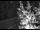 Webcam in Ironton, Colorado, 161.1 km entfernt