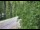 Webcam in Ironton, Colorado, 13.9 km