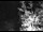 Webcam in Ironton, Colorado, 1.5 km entfernt
