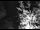 Webcam in Ironton, Colorado, 1.5 km