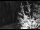 Webcam in Ironton, Colorado, 22.8 mi away