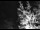 Webcam in Ironton, Colorado, 19.8 km entfernt