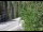 Webcam in Ironton, Colorado, 23.6 km