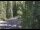 Webcam in Ironton, Colorado, 31.5 km