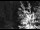 Webcam in Ironton, Colorado, 26 km
