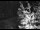 Webcam in Ironton, Colorado, 16.3 km