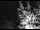 Webcam in Ironton, Colorado, 36.2 mi away