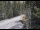 Webcam in Ironton, Colorado, 43.7 km
