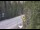 Webcam in Ironton, Colorado, 26 km