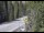 Webcam in Ironton, Colorado, 40 km