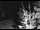 Webcam in Ironton, Colorado, 43 km