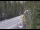 Webcam in Ironton, Colorado, 23.9 km