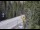 Webcam in Ironton, Colorado, 52.9 km