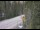 Webcam in Ironton, Colorado, 86.9 km