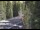 Webcam in Ironton, Colorado, 131 km entfernt