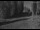 Webcam in Mesa, Colorado, 64.6 km