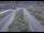 Webcam in Dotsero, Colorado, 143.4 mi away