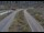 Webcam in Dotsero, Colorado, 239.1 km entfernt