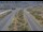 Webcam in Dotsero, Colorado, 146.8 km