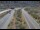 Webcam in Dotsero, Colorado, 58.8 km