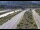 Webcam in Dotsero, Colorado, 385.5 km entfernt