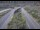Webcam in Dotsero, Colorado, 239 km