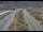 Webcam in Dotsero, Colorado, 244.2 km entfernt