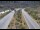 Webcam in Dotsero, Colorado, 20.6 mi away