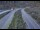 Webcam in Dotsero, Colorado, 239.1 km