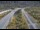 Webcam in Dotsero, Colorado, 53.5 km