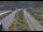 Webcam in Dotsero, Colorado, 81 km