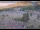 Webcam in Lake George, Colorado, 22.9 mi away