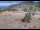 Webcam in Lake George, Colorado, 65.9 km entfernt
