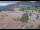 Webcam in Lake George, Colorado, 25.5 mi away