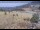 Webcam in Lake George, Colorado, 19.6 mi away