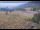 Webcam in Lake George, Colorado, 24.2 mi away