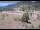 Webcam in Lake George, Colorado, 21.9 mi away