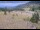 Webcam in Lake George, Colorado, 34.8 mi away