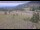 Webcam in Lake George, Colorado, 58.3 km