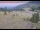 Webcam in Lake George, Colorado, 115.6 km