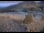 Webcam in Lake George, Colorado, 102 mi away