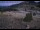 Webcam in Lake George, Colorado, 91.8 km entfernt