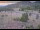 Webcam in Lake George, Colorado, 73.8 km