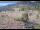Webcam in Lake George, Colorado, 70.7 km entfernt