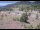 Webcam in Lake George, Colorado, 40.3 km