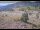 Webcam in Lake George, Colorado, 116.8 km